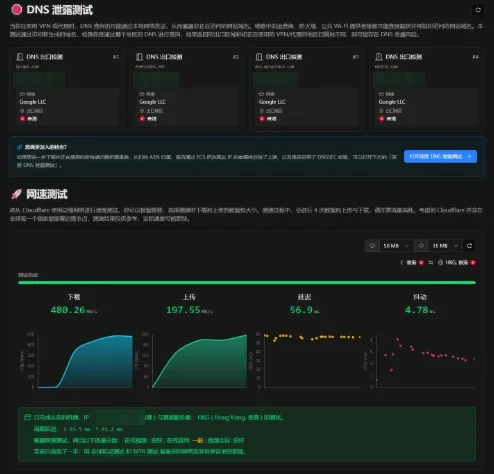 IPCheck.ing DNS 泄露检测与 Cloudflare 网速测试结果